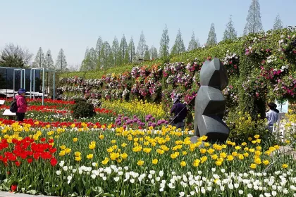Bigger view of TerraCottem Universal in bloembedden, Goyang International Flower Foundation Expo, Zuid-Korea.