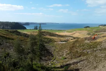 Bigger view of Weiti Bay, Auckland, New Zealand (X 174.722 Y -36.661).