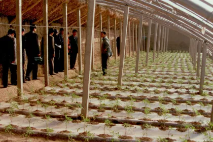 Bigger view of Introduction