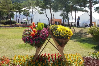 Bigger view of TerraCottem Universal in flower sculptures, Goesan International Organic EXPO, South Korea.