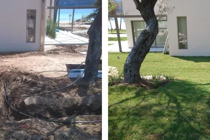 Bigger view of TerraCottem Turf at Diaporos Is., Greece.