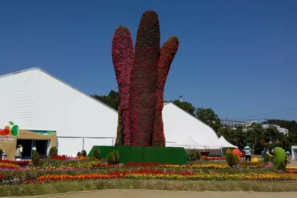 Bigger view of TerraCottem Universal in flower sculptures, Goesan International Organic EXPO, South Korea.