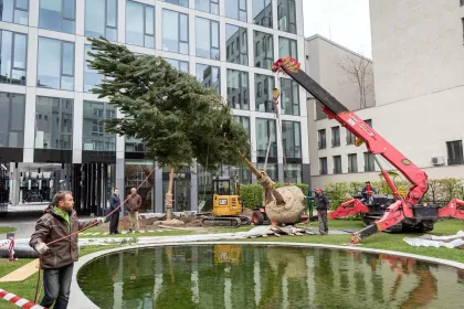 Bigger view of Third place is for Aleš Kurz from Czech Republic: planting large trees with TerraCottem Universal inside the Florentinum building complex in Prague.