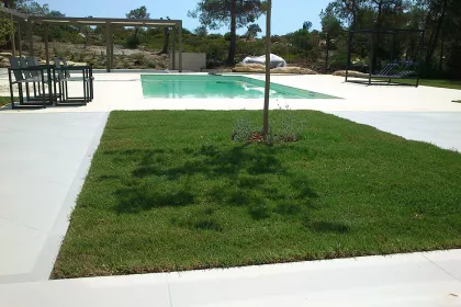 Bigger view of TerraCottem Turf at Diaporos Is., Greece.