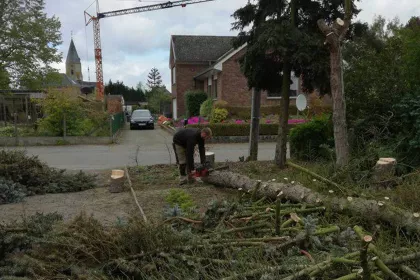 Bigger view of Project in de kijker: De tuinen van Peter Saeys