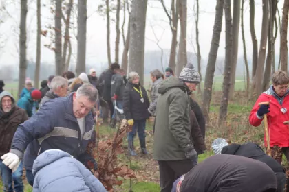 Bigger view of TerraCottem bvba steunt het bi-ventiel bos