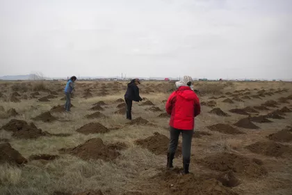 Bigger view of TerraCottem Universal application at the Green Asia Mongolia desertification prevention project.