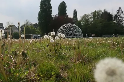 Bigger view of Een BIJzondere creatie