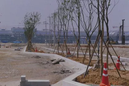 Bigger view of Tree planting with TerraCottem Universal, Incheon International Airport, South Korea.