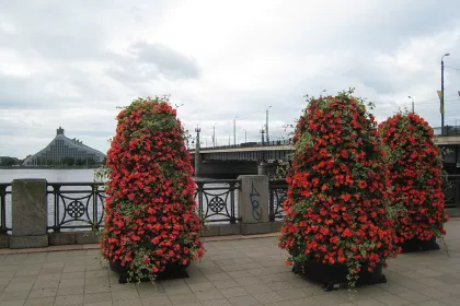Bigger view of TerraCottem Universal in flower towers, Riga, Latvia.