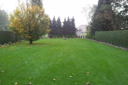 Bigger view of TerraCottem Turf in root zone layer of seeded grass, Zele, Belgium.