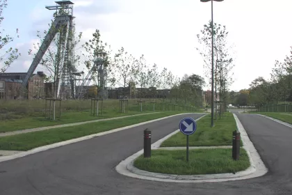 Bigger view of Tree planting with TerraCottem Universal, Winterslag, Belgium.