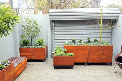 Bigger view of TerraCottem Universal in containers in a residential inner city court yard, Australia.