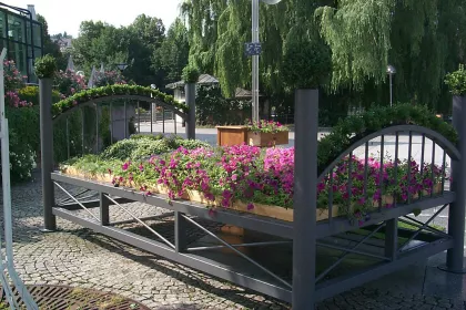 Bigger view of TerraCottem Universal in flower beds, Entente Florale, Pforzheim, Germany.