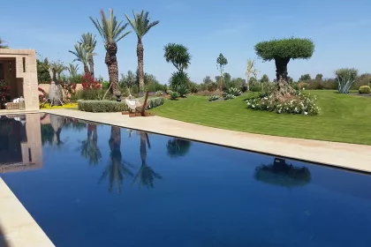 Bigger view of TerraCottem increases the soil’s water and nutrient holding capacity, Marrakech, Morocco.