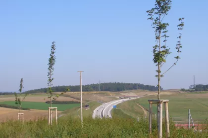 Bigger view of Tree planting with TerraCottem Universal, Wurzburg, Germany.