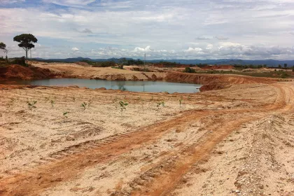 Bigger view of Environmental reforestation with TerraCottem Universal of open air gold mine, Caucasia, Colombia - 1 month after planting.