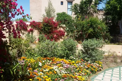 Bigger view of TerraCottem Universal in bloembedden, Marrakech, Marokko.