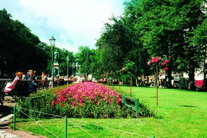 Bigger view of TerraCottem Universal u cvetnim lejama, Esplanadi Park, Helsinki.