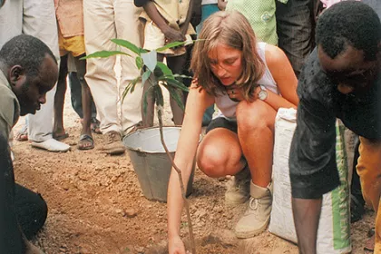 Bigger view of Project "Green Hope" near Niou, Burkina Faso.