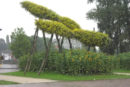 Bigger view of TerraCottem Universal in flower sculptures, Bruges, Belgium.