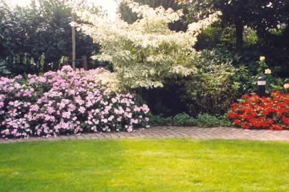 Bigger view of TerraCottem Universal in flower beds, Bocholt, Germany.