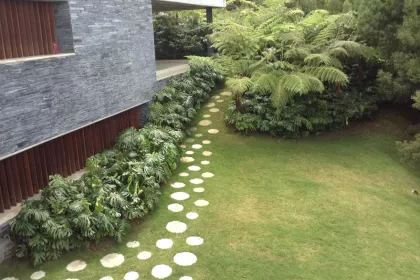 Bigger view of Tree planting with TerraCottem Universal, Medellin, Colombia.