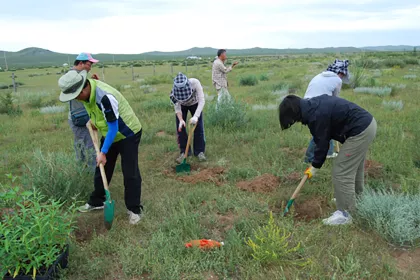 Bigger view of Environmental reforestation with TerraCottem Universal, Mongolia.