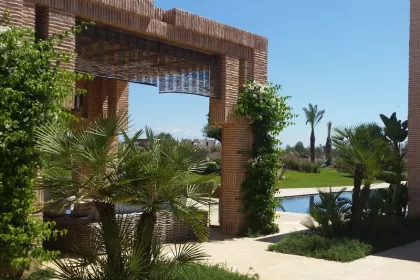 Bigger view of Tree &amp; shrub planting with TerraCottem Universal, Marrakech, Morocco.