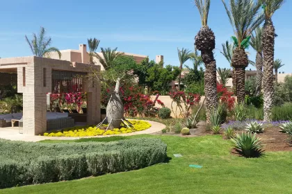 Bigger view of Tree &amp; shrub planting with TerraCottem Universal, Marrakech, Morocco.