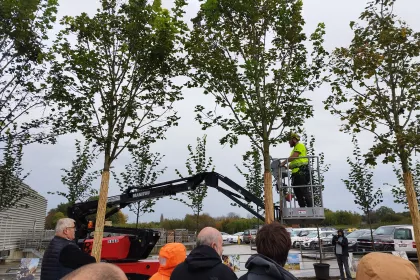 Bigger view of Download hier de presentaties van de Nationale Bomendag