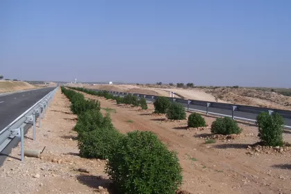 Bigger view of Shrub planting with TerraCottem Universal, Msaken-Sfax Motorway, Tunisia.