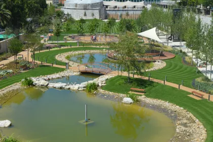 Bigger view of First anniversary of TerraCottem Turf application at Commonwealth Park