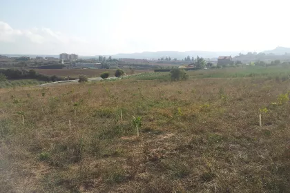 Bigger view of SustAffor field trial in Mediterranean Continental climate.