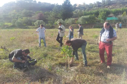 Bigger view of Project partners visiting the field trials accompanied by local news channel.