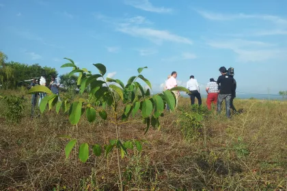 Bigger view of Project partners visiting the field trials accompanied by local news channel.