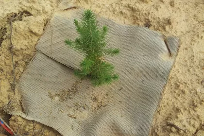 Bigger view of Cubierta de yute tejido, tratada con resina orgánica para prolongar su durabilidad.