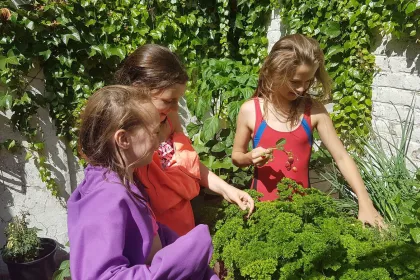 Bigger view of Second place is for Lena Ottevaere from Belgium: this little girl planted veggies and herbs with her friends, using TerraCottem Universal