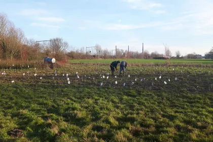 Bigger view of Boomaanplanting voor de Warmste Week