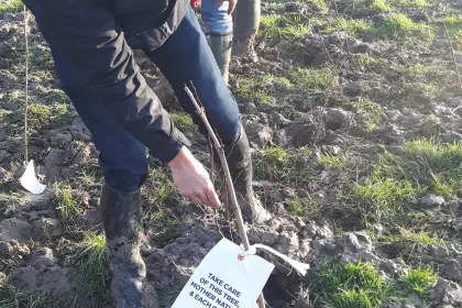 Bigger view of Boomaanplanting voor de Warmste Week
