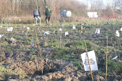 Bigger view of Boomaanplanting voor de Warmste Week
