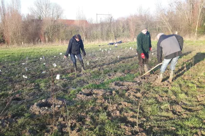 Bigger view of Boomaanplanting voor de Warmste Week