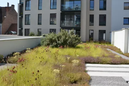 Bigger view of Groendaken met biodiversiteit als meerwaarde bij projectontwikkeling in hartje Gent.