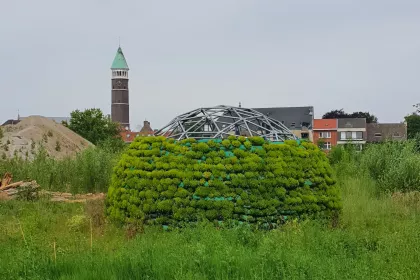 Bigger view of Een BIJzondere creatie - 1 jaar later