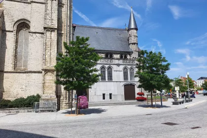 Bigger view of Heraanleg markt Oudenaarde: 3 jaar na aanplant kleuren de bomen het stadscentrum groen