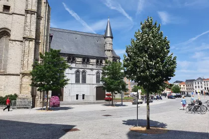 Bigger view of Heraanleg markt Oudenaarde: 3 jaar na aanplant kleuren de bomen het stadscentrum groen