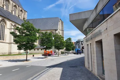 Bigger view of Heraanleg markt Oudenaarde: 3 jaar na aanplant kleuren de bomen het stadscentrum groen