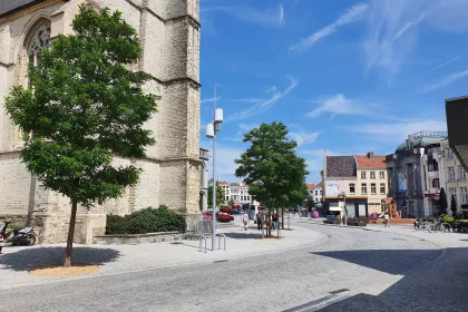 Bigger view of Heraanleg markt Oudenaarde: 3 jaar na aanplant kleuren de bomen het stadscentrum groen