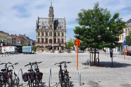 Bigger view of Heraanleg markt Oudenaarde: 3 jaar na aanplant kleuren de bomen het stadscentrum groen