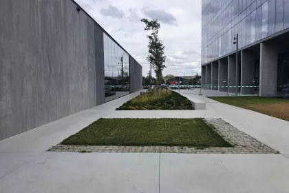 Bigger view of Aanleg parking in grindgazon met TerraCottem Turf